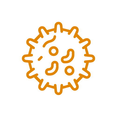 EV71 virus