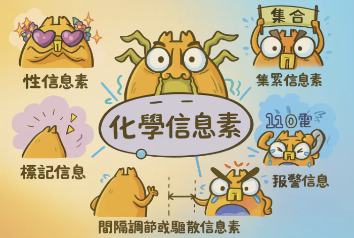 塵螨怎麼傳遞訊息?